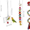 8PCS Parrot toys Birds Toys Swing Bird Hanging Chewing Toy Birds Cage Toy Swing Bell Bird Parakeet Cage Accessories Pet Supplies