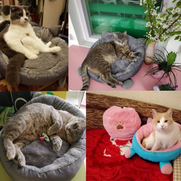 Small Dog Cat Bed House Mat for Cats Accessories Plush House for Cats Kitten Pet Cat Prodcuts for Pets Bed Sofa Cama Gato