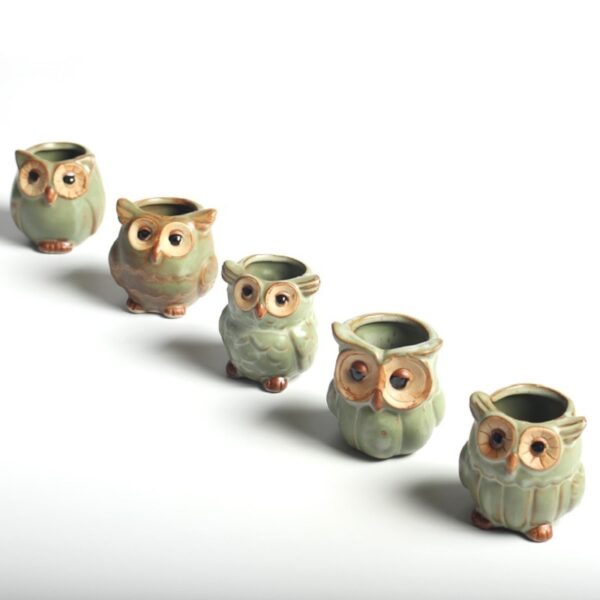 5 Pcs/Set Creative Ceramic Owl Shape Flower Pots 2020 New Ceramic Planter Desk Flower Pot Cute Design Succulent Planter Pot