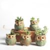 5 Pcs/Set Creative Ceramic Owl Shape Flower Pots 2020 New Ceramic Planter Desk Flower Pot Cute Design Succulent Planter Pot
