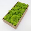 1000g Simulation Plants Eternal Life Moss /Garden Home Decor Wall DIY Flower Material Mini Garden Micro Landscape Fake Moss Gift